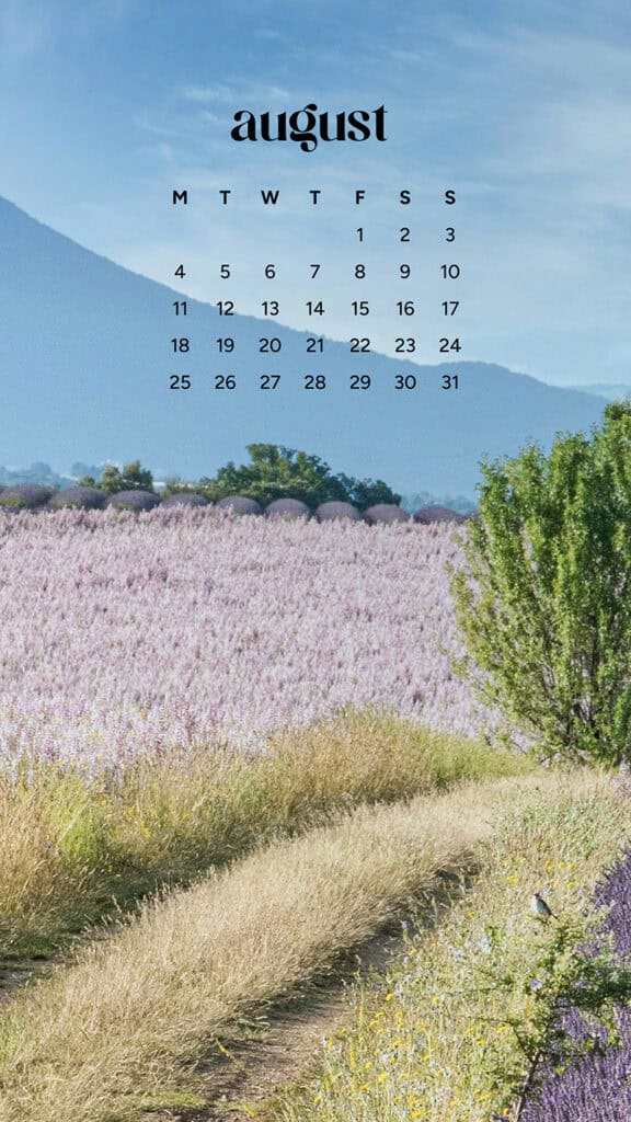 August 2025 Wallpapers – 45 Free Phone &amp; Desktop Calendars!, Oh So Lovely Blog