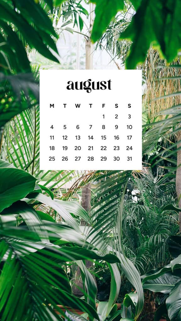 August 2025 Wallpapers – 45 Free Phone &amp; Desktop Calendars!, Oh So Lovely Blog