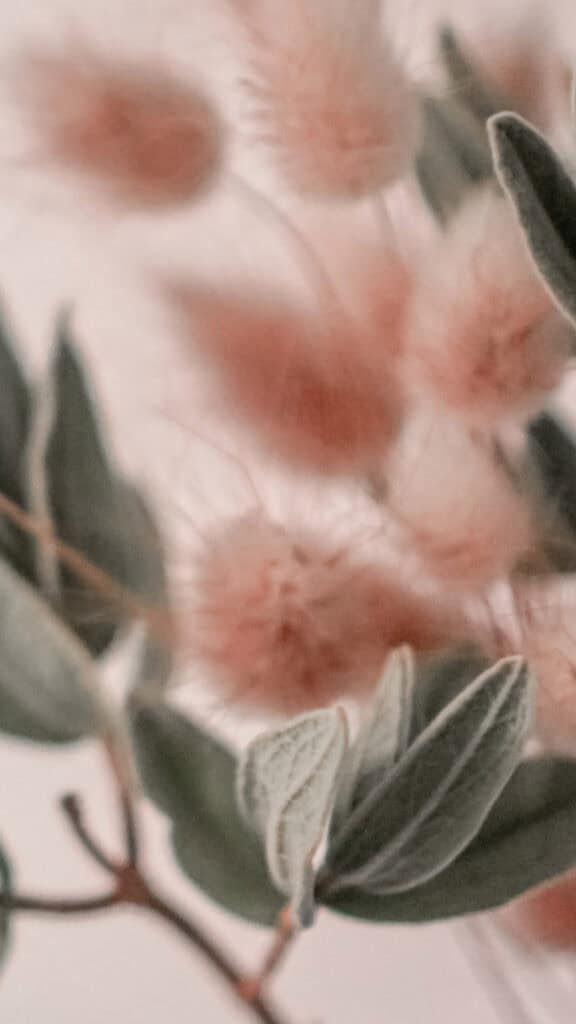 August 2025 Wallpapers – 45 Free Phone &amp; Desktop Calendars!, Oh So Lovely Blog