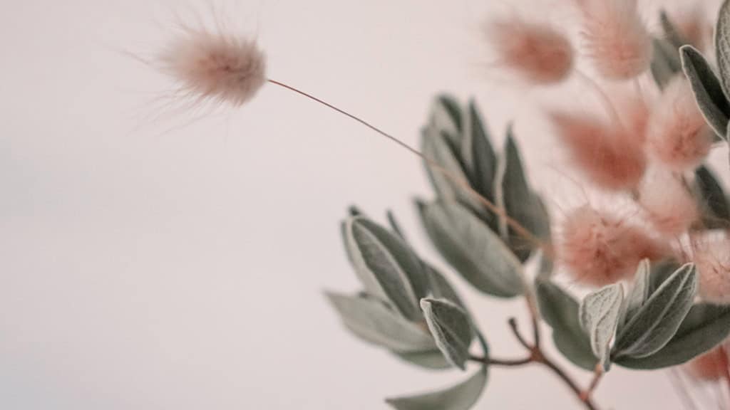 August 2025 Wallpapers – 45 Free Phone &amp; Desktop Calendars!, Oh So Lovely Blog