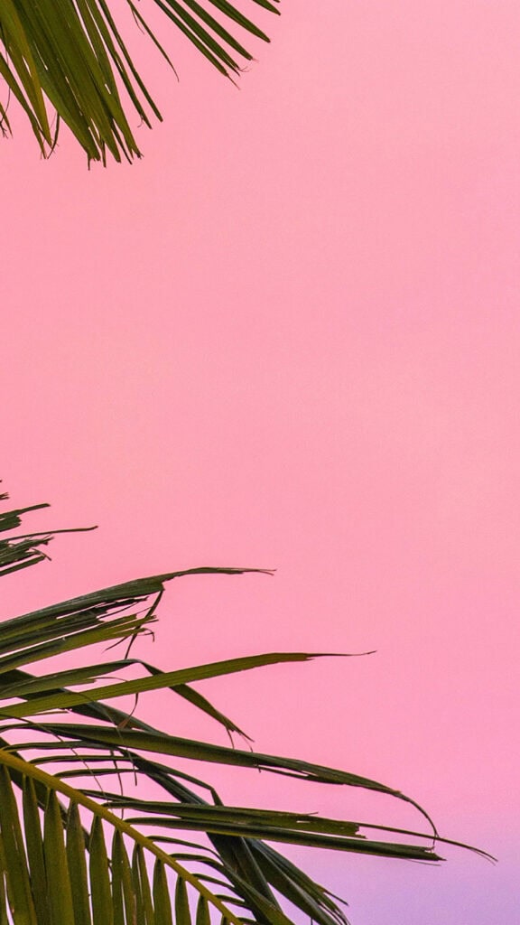 August 2025 Wallpapers – 45 Free Phone &amp; Desktop Calendars!, Oh So Lovely Blog