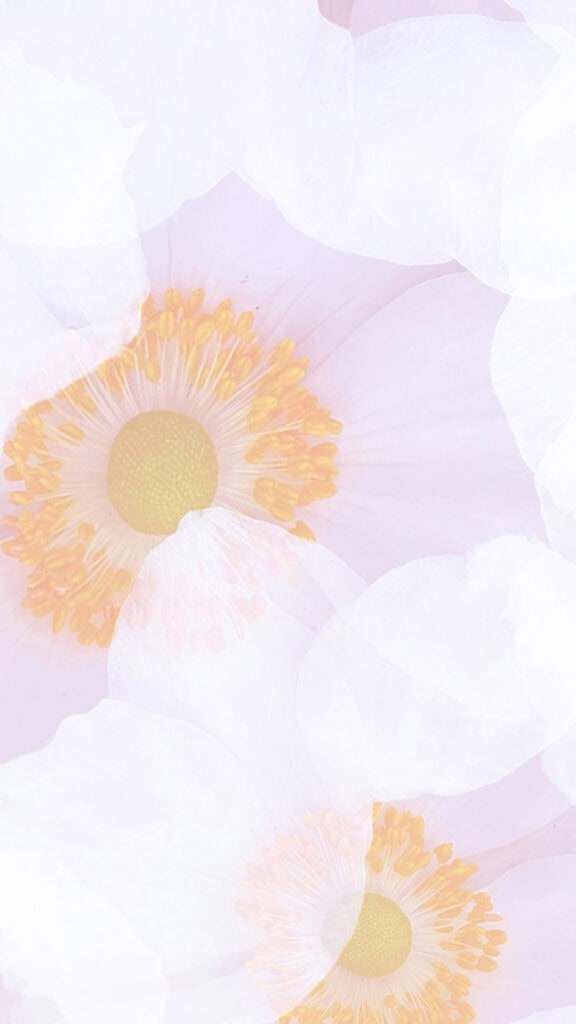 August 2025 Wallpapers – 45 Free Phone &amp; Desktop Calendars!, Oh So Lovely Blog