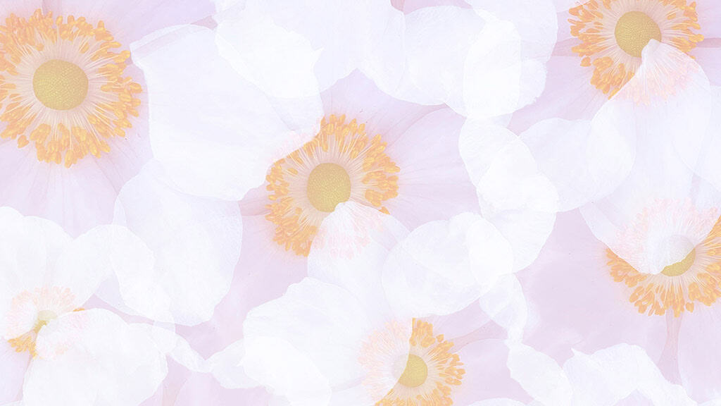 August 2025 Wallpapers – 45 Free Phone &amp; Desktop Calendars!, Oh So Lovely Blog