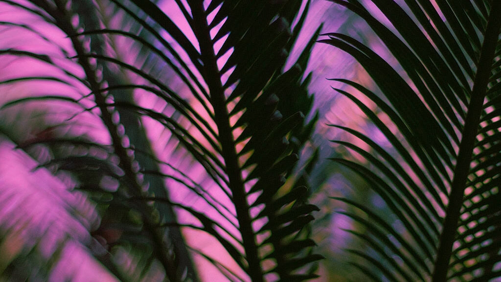 August 2025 Wallpapers – 45 Free Phone &amp; Desktop Calendars!, Oh So Lovely Blog