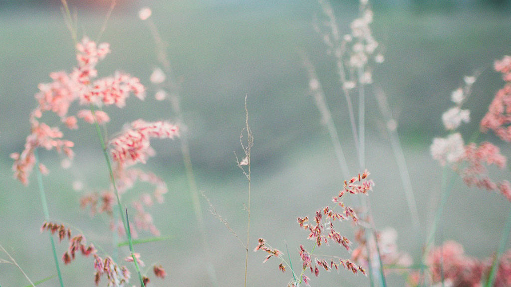 August 2025 Wallpapers – 45 Free Phone &amp; Desktop Calendars!, Oh So Lovely Blog