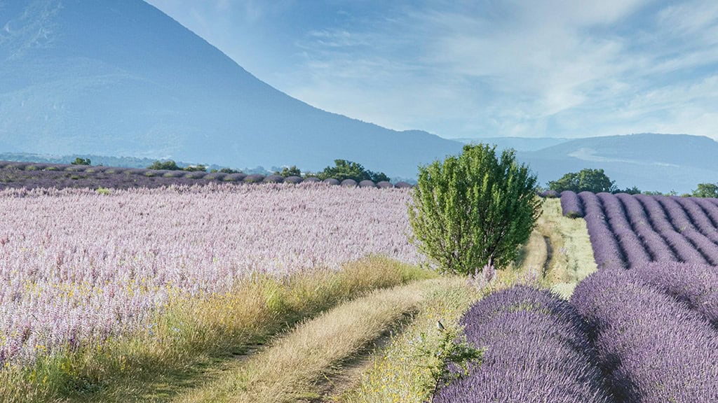 August 2025 Wallpapers – 45 Free Phone &amp; Desktop Calendars!, Oh So Lovely Blog