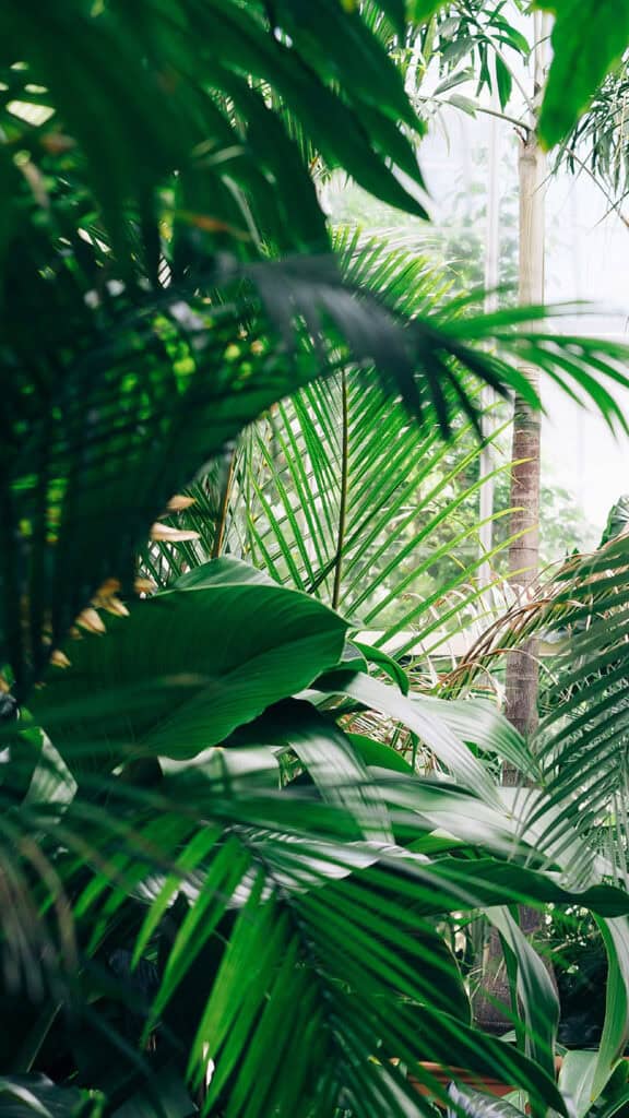 August 2025 Wallpapers – 45 Free Phone &amp; Desktop Calendars!, Oh So Lovely Blog