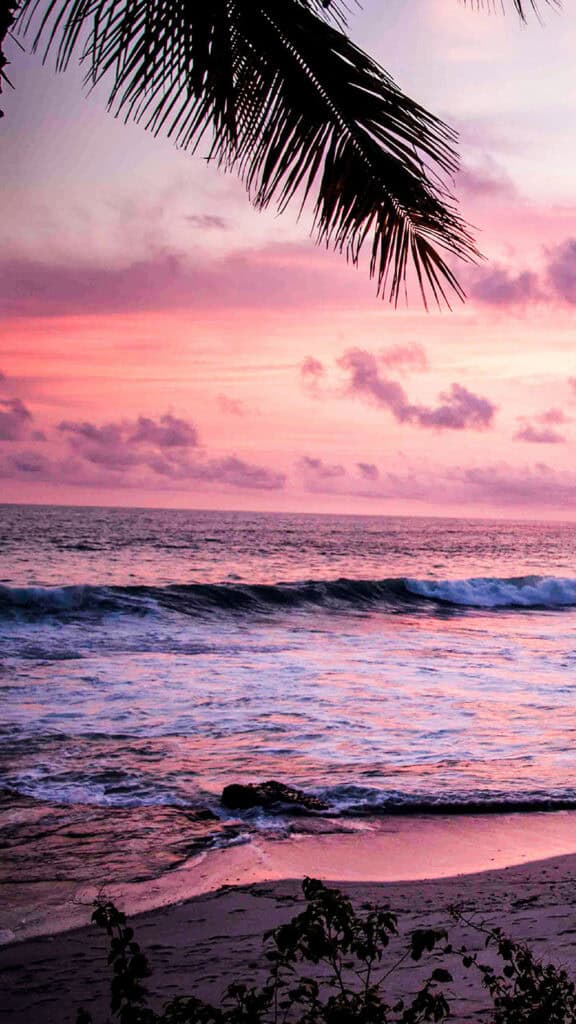August 2025 Wallpapers – 45 Free Phone &amp; Desktop Calendars!, Oh So Lovely Blog