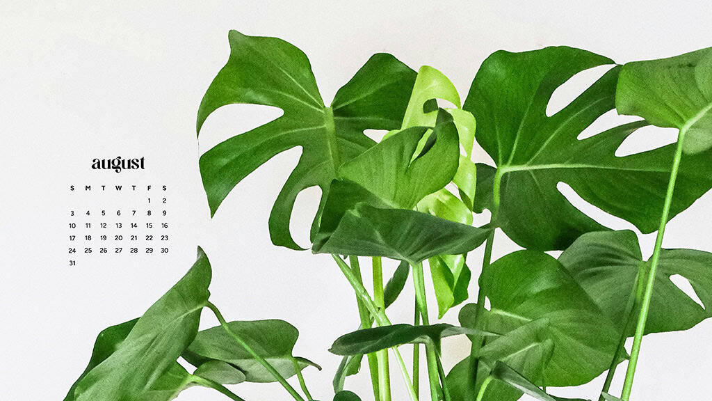 August 2025 Wallpapers – 45 Free Phone &amp; Desktop Calendars!, Oh So Lovely Blog