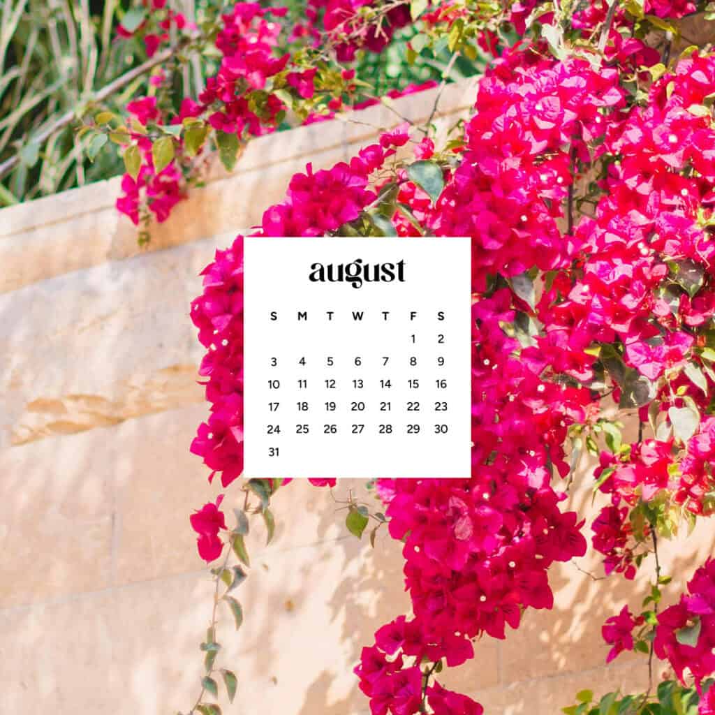 Home, Oh So Lovely Blog