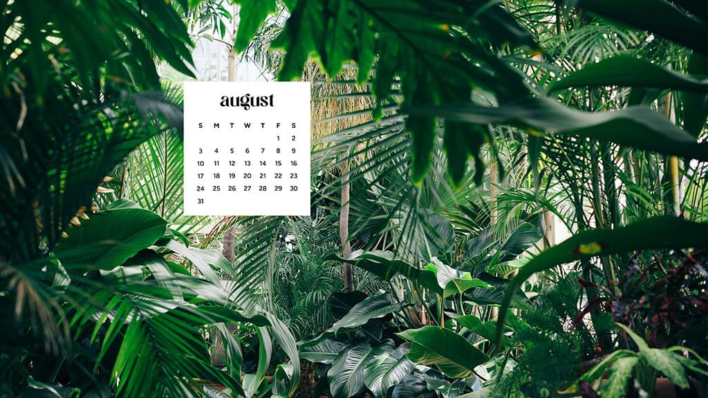 August 2025 Wallpapers – 45 Free Phone &amp; Desktop Calendars!, Oh So Lovely Blog