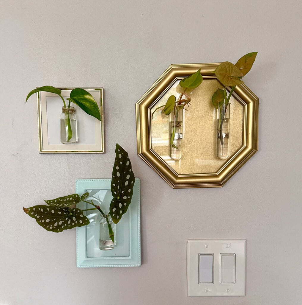 DIY Plant Propagation Wall Art, Oh So Lovely Blog
