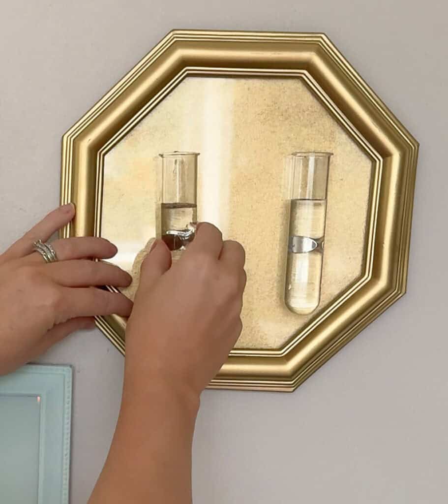 DIY Plant Propagation Wall Art, Oh So Lovely Blog