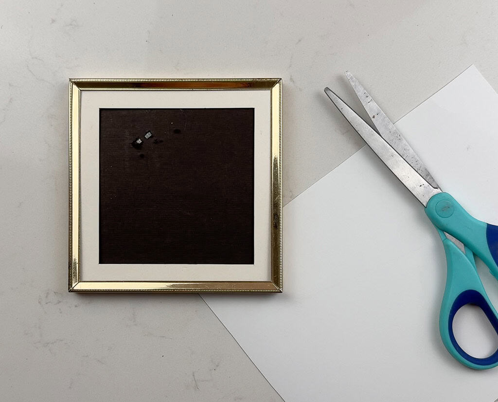 DIY Plant Propagation Wall Art, Oh So Lovely Blog