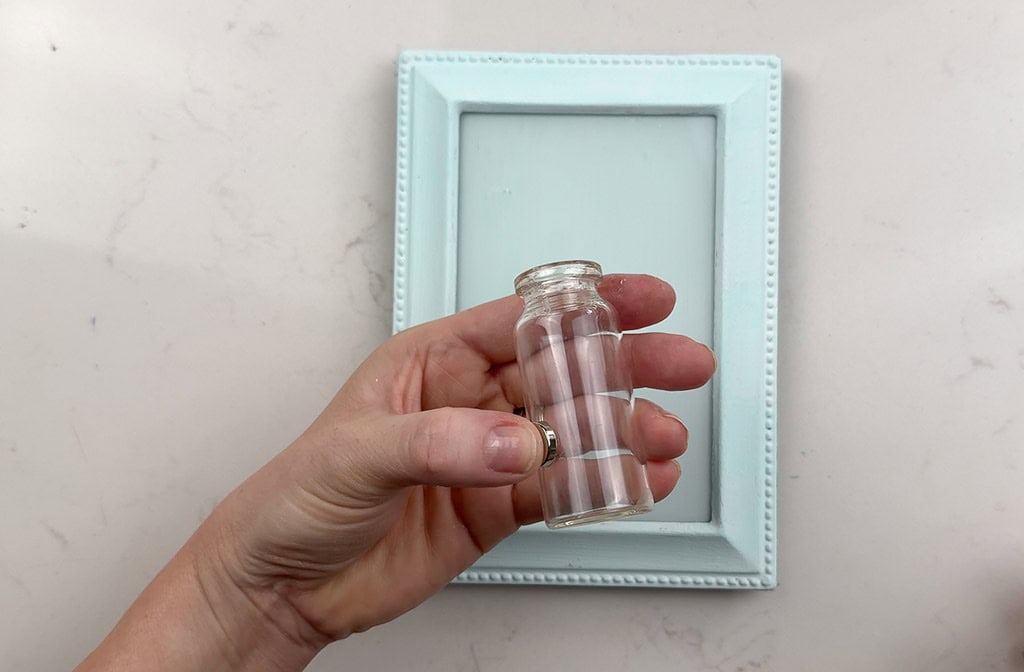 DIY Plant Propagation Wall Art, Oh So Lovely Blog