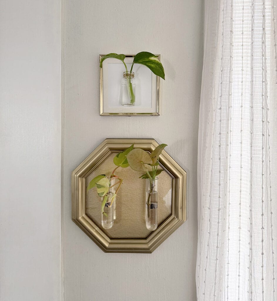 DIY Plant Propagation Wall Art, Oh So Lovely Blog
