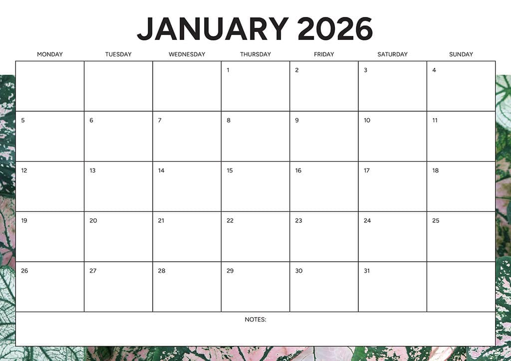 Free 2026 Calendars — 90 Printable Options — Sunday &amp; Monday Starts, Oh So Lovely Blog