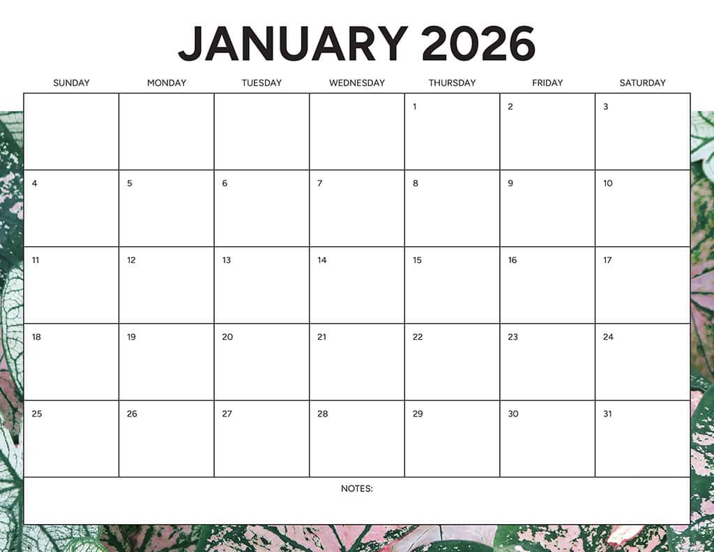 Free 2026 Calendars — 90 Printable Options — Sunday &amp; Monday Starts, Oh So Lovely Blog