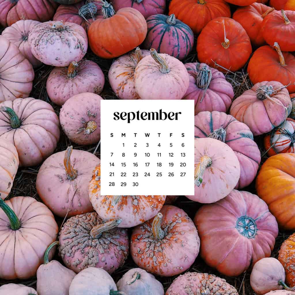 Home, Oh So Lovely Blog