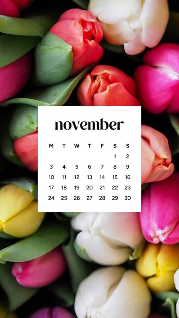 November 2025 Wallpapers – 56 Free Phone &amp; Desktop Calendars + Native American Heritage Month!, Oh So Lovely Blog