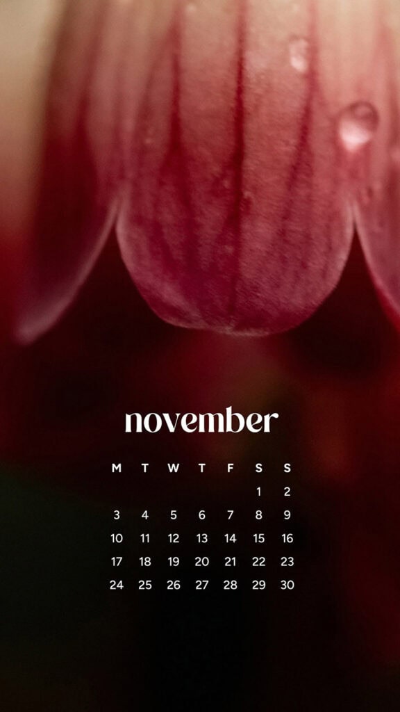 November 2025 Wallpapers – 56 Free Phone &amp; Desktop Calendars + Native American Heritage Month!, Oh So Lovely Blog