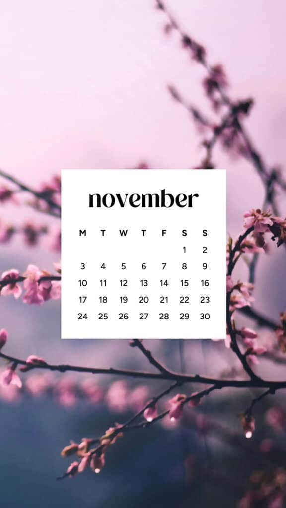 November 2025 Wallpapers – 56 Free Phone &amp; Desktop Calendars + Native American Heritage Month!, Oh So Lovely Blog