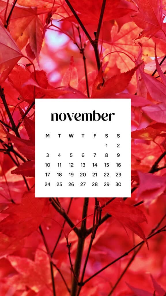 November 2025 Wallpapers – 56 Free Phone &amp; Desktop Calendars + Native American Heritage Month!, Oh So Lovely Blog