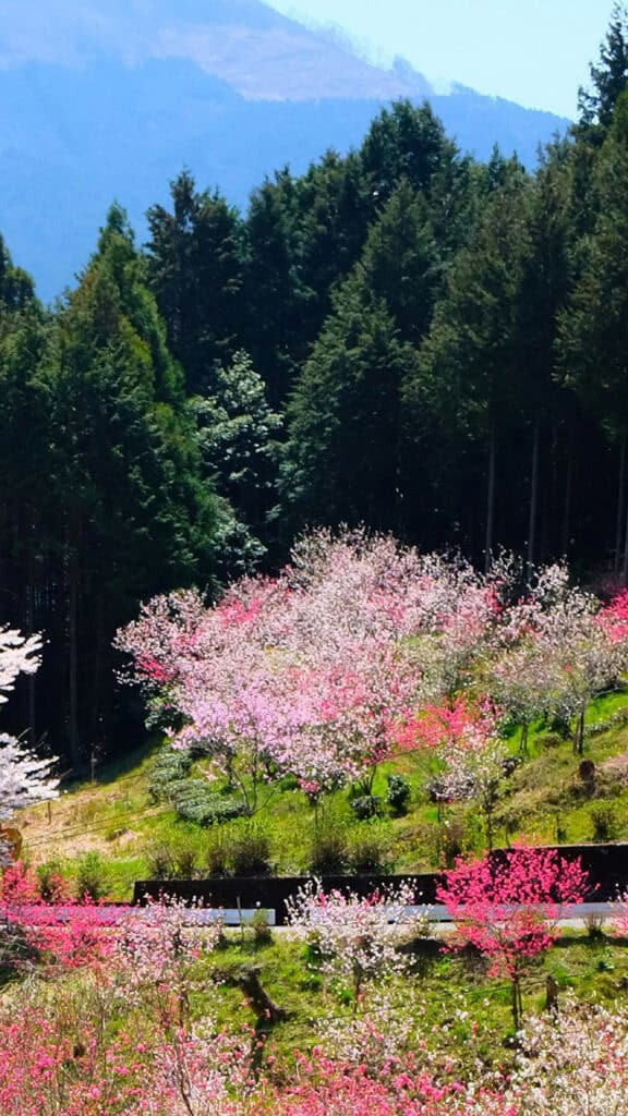 November 2025 Wallpapers – 56 Free Phone &amp; Desktop Calendars + Native American Heritage Month!, Oh So Lovely Blog