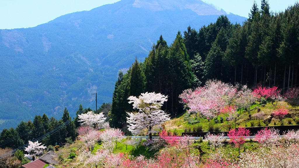 November 2025 Wallpapers – 56 Free Phone &amp; Desktop Calendars + Native American Heritage Month!, Oh So Lovely Blog