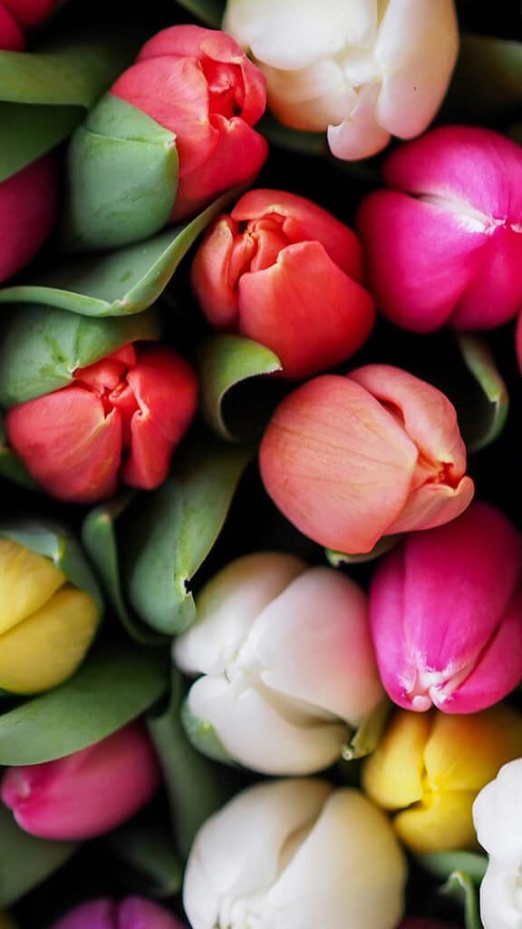 November 2025 Wallpapers – 56 Free Phone &amp; Desktop Calendars + Native American Heritage Month!, Oh So Lovely Blog