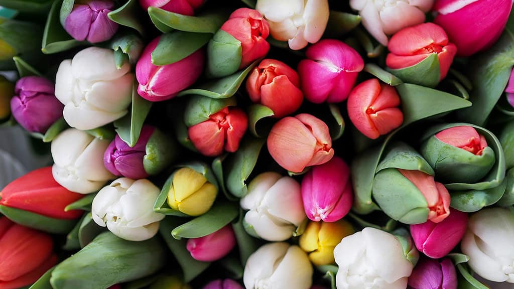 November 2025 Wallpapers – 56 Free Phone &amp; Desktop Calendars + Native American Heritage Month!, Oh So Lovely Blog