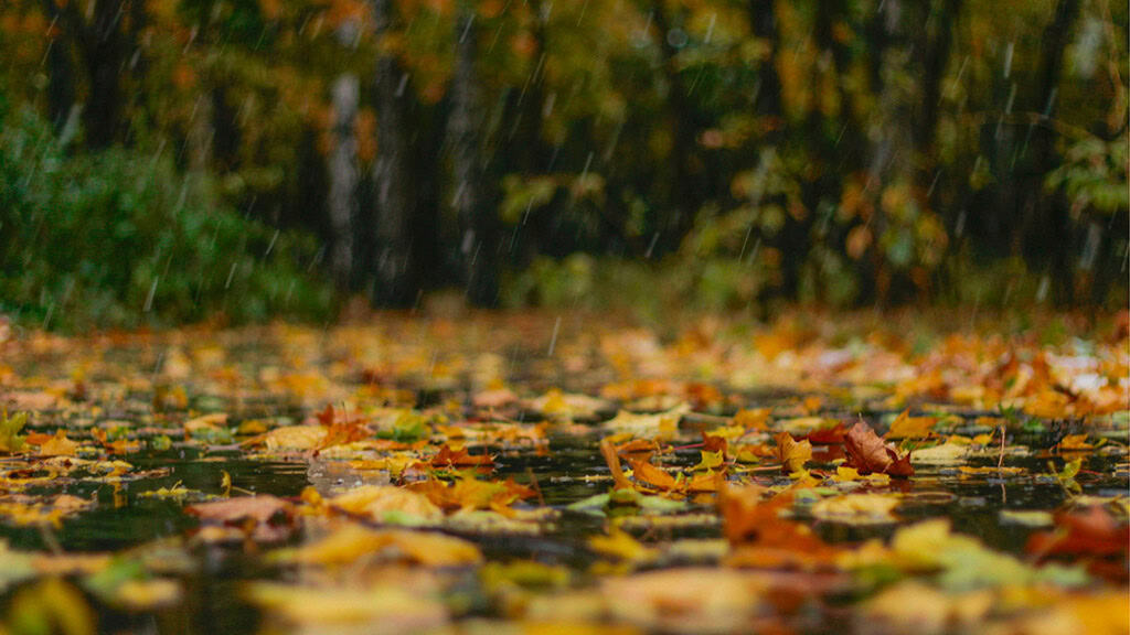 November 2025 Wallpapers – 56 Free Phone &amp; Desktop Calendars + Native American Heritage Month!, Oh So Lovely Blog