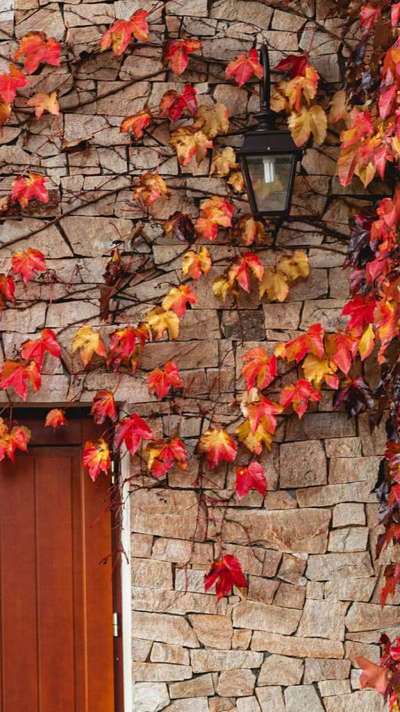 November 2025 Wallpapers – 56 Free Phone &amp; Desktop Calendars + Native American Heritage Month!, Oh So Lovely Blog