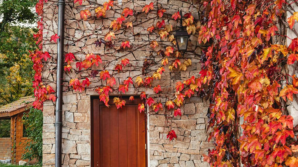 November 2025 Wallpapers – 56 Free Phone &amp; Desktop Calendars + Native American Heritage Month!, Oh So Lovely Blog