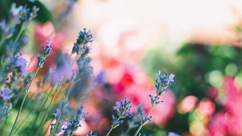 November 2025 Wallpapers – 56 Free Phone &amp; Desktop Calendars + Native American Heritage Month!, Oh So Lovely Blog