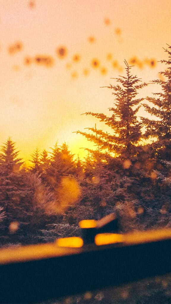 November 2025 Wallpapers – 56 Free Phone &amp; Desktop Calendars + Native American Heritage Month!, Oh So Lovely Blog