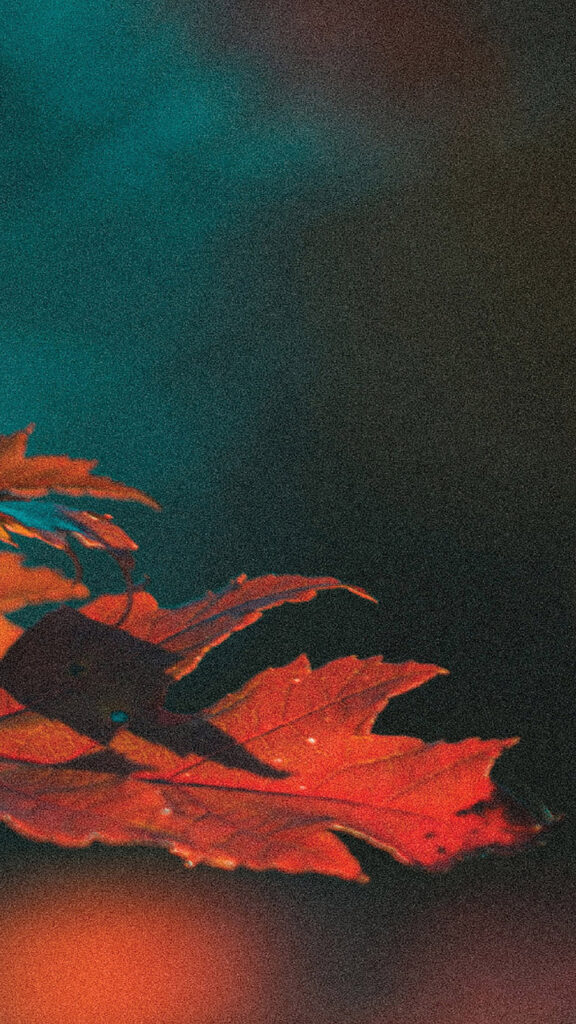 November 2025 Wallpapers – 56 Free Phone &amp; Desktop Calendars + Native American Heritage Month!, Oh So Lovely Blog