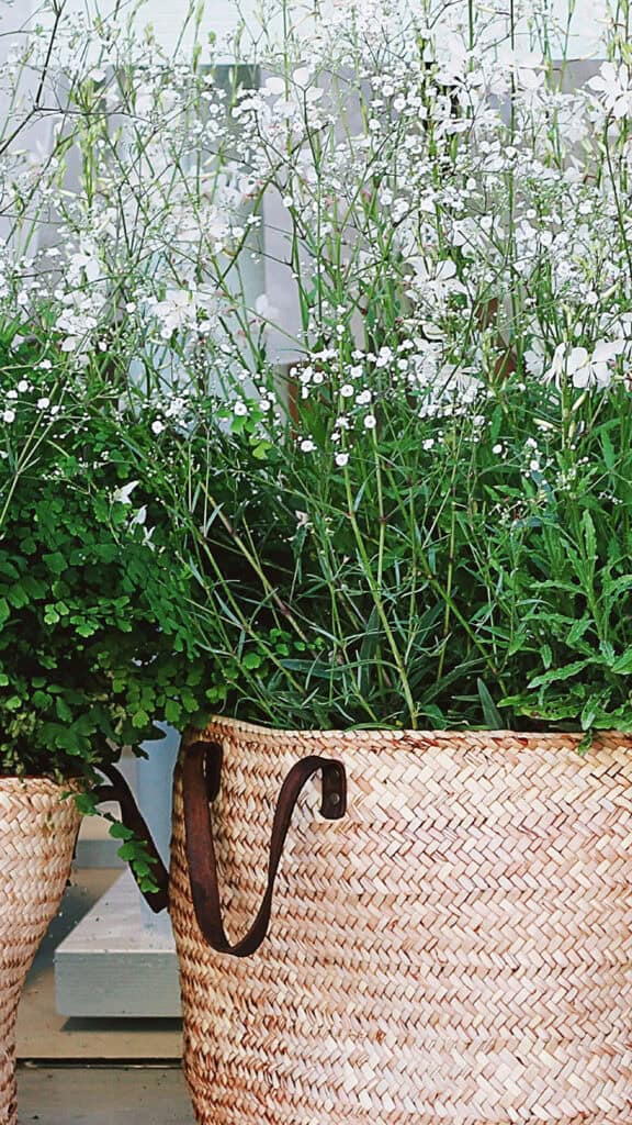 November 2025 Wallpapers – 56 Free Phone &amp; Desktop Calendars + Native American Heritage Month!, Oh So Lovely Blog