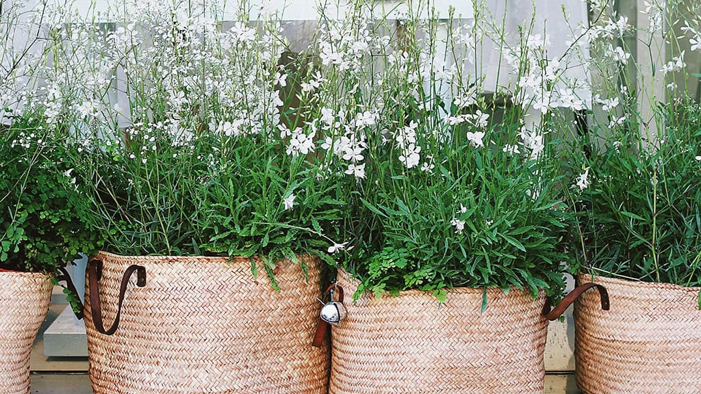 November 2025 Wallpapers – 56 Free Phone &amp; Desktop Calendars + Native American Heritage Month!, Oh So Lovely Blog