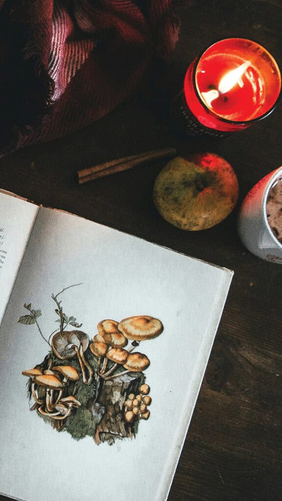 November 2025 Wallpapers – 56 Free Phone &amp; Desktop Calendars + Native American Heritage Month!, Oh So Lovely Blog