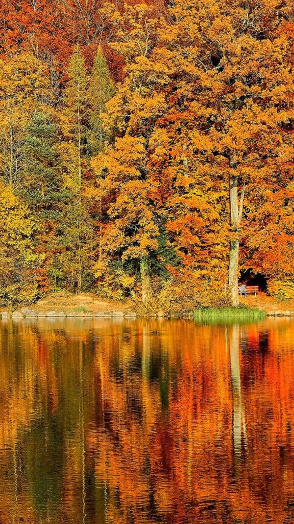 November 2025 Wallpapers – 56 Free Phone &amp; Desktop Calendars + Native American Heritage Month!, Oh So Lovely Blog