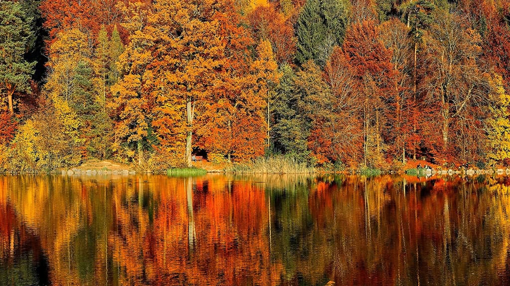 November 2025 Wallpapers – 56 Free Phone &amp; Desktop Calendars + Native American Heritage Month!, Oh So Lovely Blog