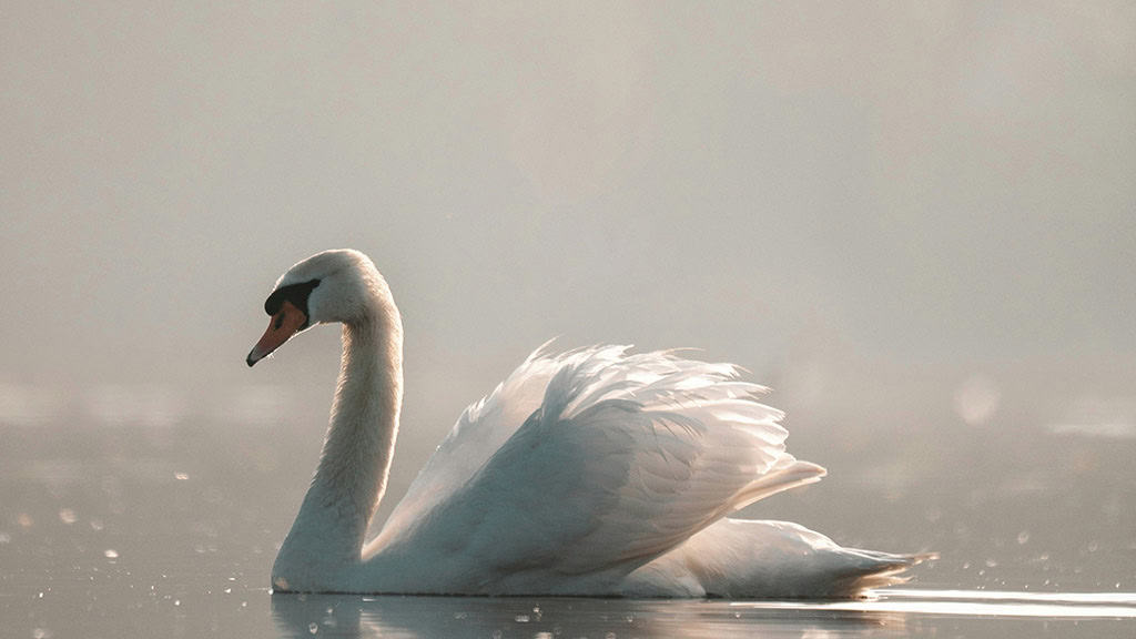 November 2025 Wallpapers – 56 Free Phone &amp; Desktop Calendars + Native American Heritage Month!, Oh So Lovely Blog