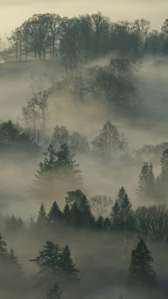 November 2025 Wallpapers – 56 Free Phone &amp; Desktop Calendars + Native American Heritage Month!, Oh So Lovely Blog