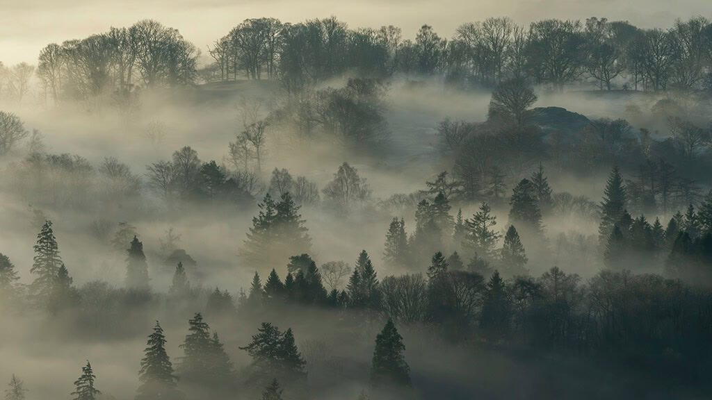 November 2025 Wallpapers – 56 Free Phone &amp; Desktop Calendars + Native American Heritage Month!, Oh So Lovely Blog