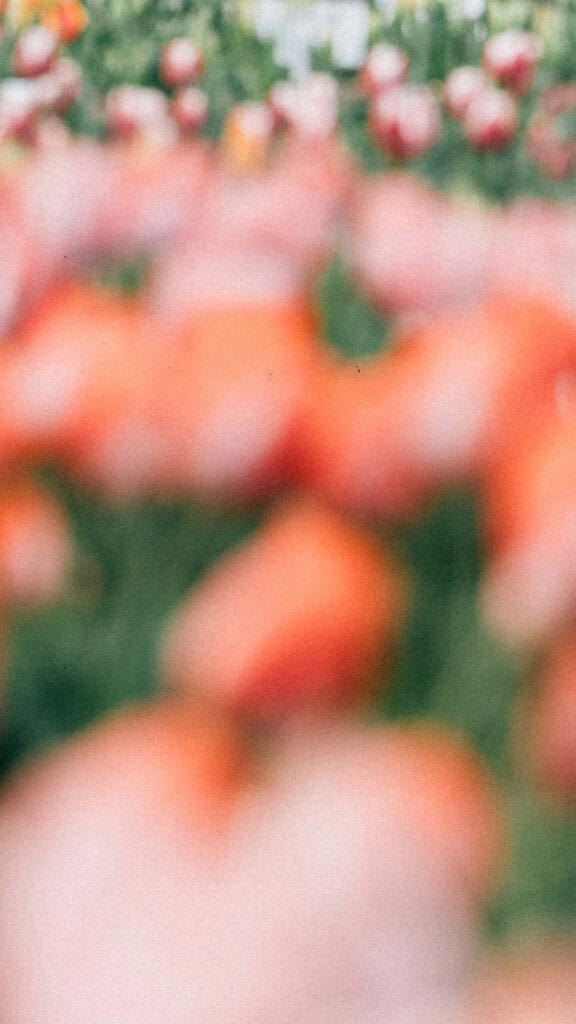 November 2025 Wallpapers – 56 Free Phone &amp; Desktop Calendars + Native American Heritage Month!, Oh So Lovely Blog