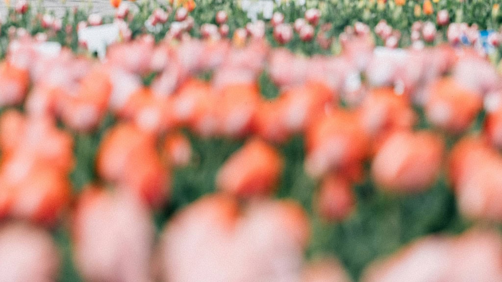 November 2025 Wallpapers – 56 Free Phone &amp; Desktop Calendars + Native American Heritage Month!, Oh So Lovely Blog