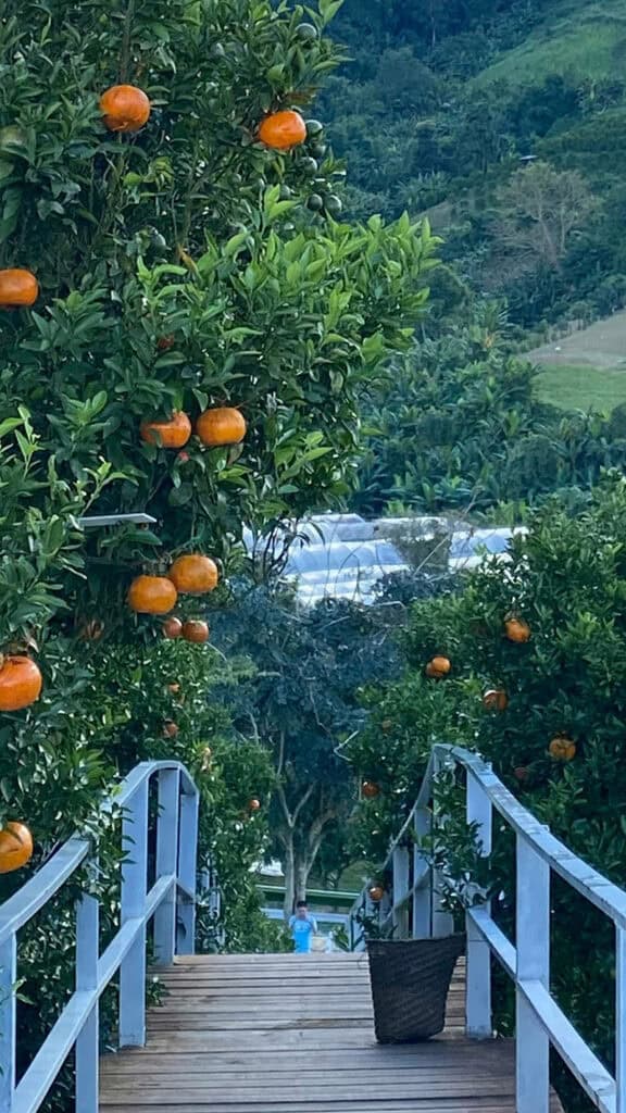 November 2025 Wallpapers – 56 Free Phone &amp; Desktop Calendars + Native American Heritage Month!, Oh So Lovely Blog