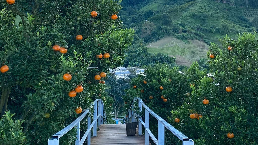 November 2025 Wallpapers – 56 Free Phone &amp; Desktop Calendars + Native American Heritage Month!, Oh So Lovely Blog