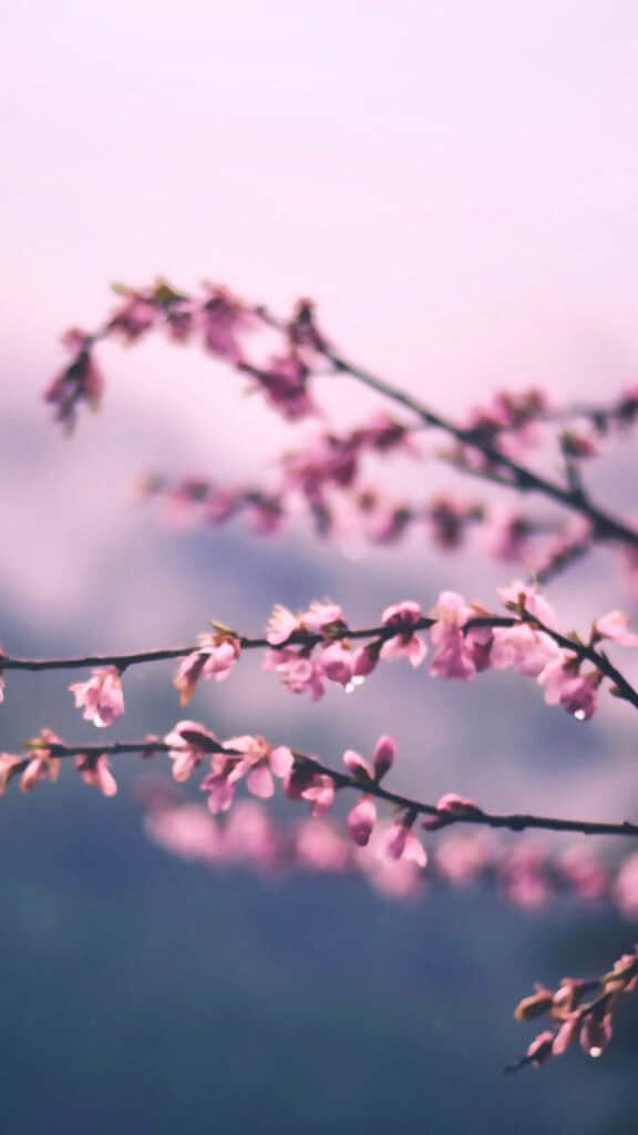 November 2025 Wallpapers – 56 Free Phone &amp; Desktop Calendars + Native American Heritage Month!, Oh So Lovely Blog